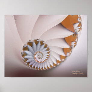 Pôster White Nautilus Abstract Seashell Fine Fractal