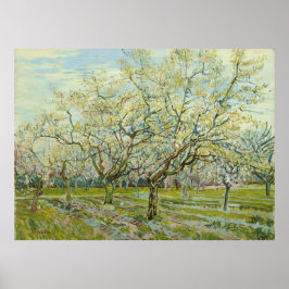 Pôster White Orchard por Vincent Van Gogh