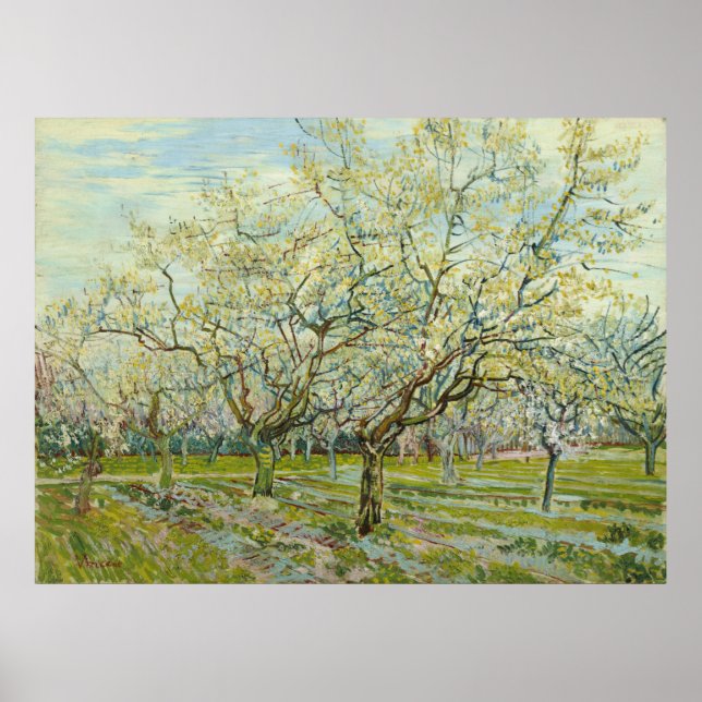 Pôster White Orchard por Vincent Van Gogh (Frente)