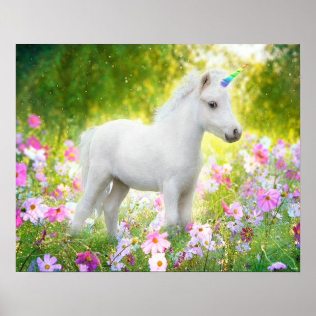 Poster White Pony Unicorn (Frente)