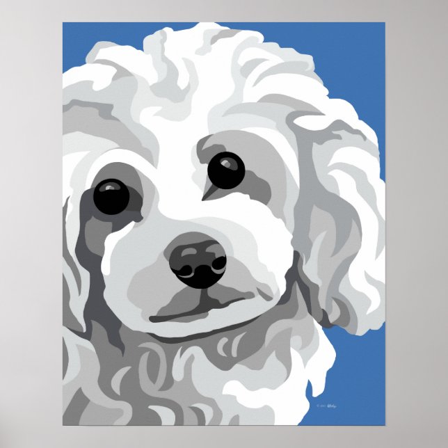 Poster White Poodle (Frente)