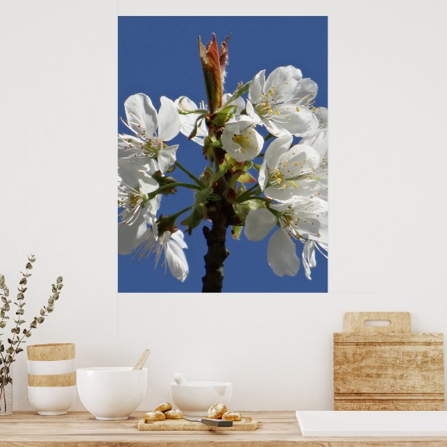 Poster White Primavera Bloom (Cozinha)