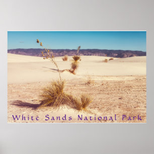 Poster White Sands Yuccas