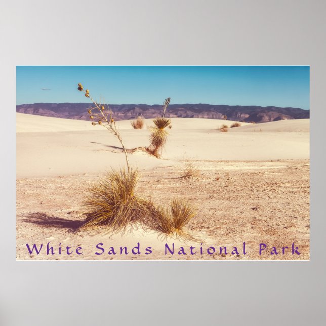 Poster White Sands Yuccas (Frente)