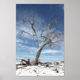 Poster White Sands Zion National Park Foto