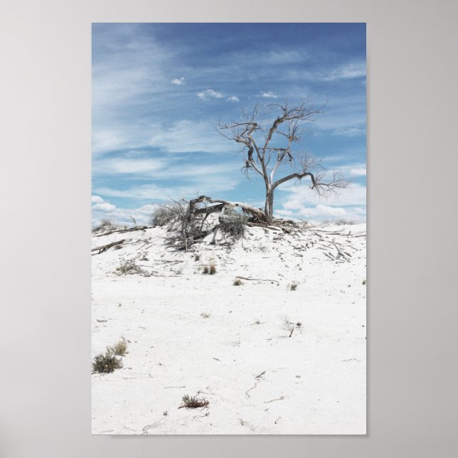 Poster White Sands Zion National Park Foto (Frente)