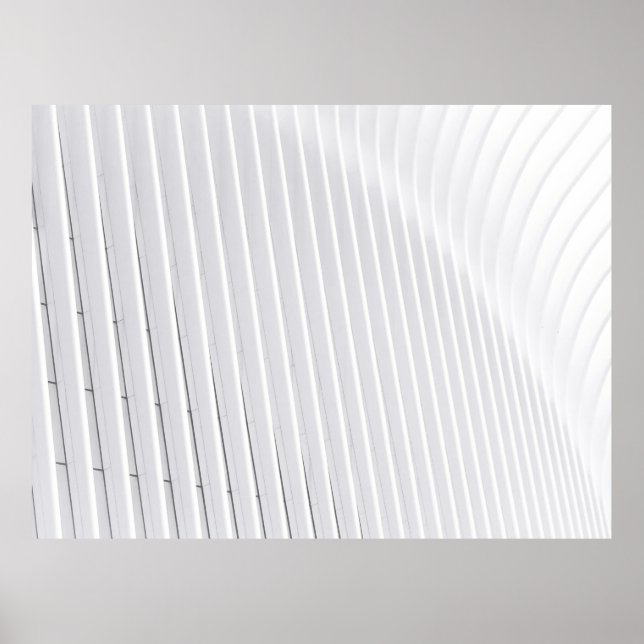 Poster White surface (Frente)