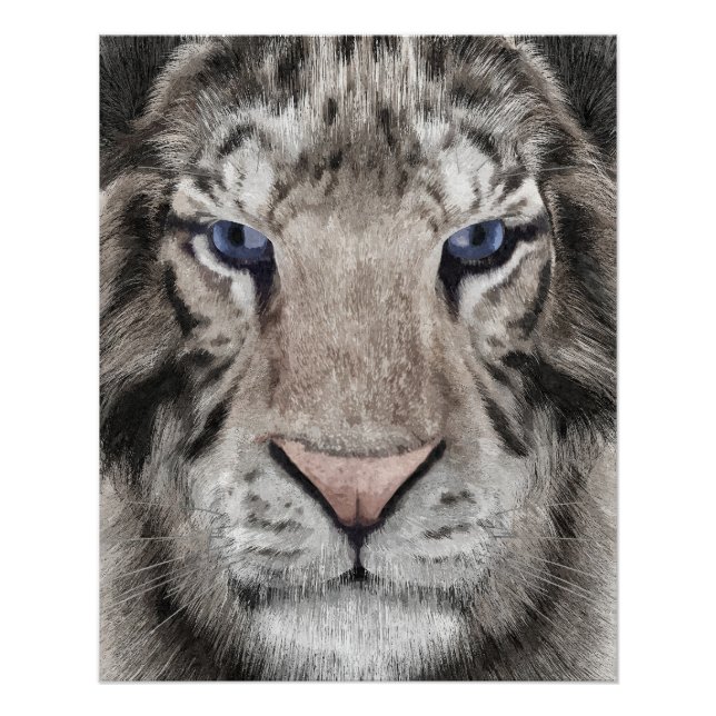Pôster White Tiger Head  (Frente)