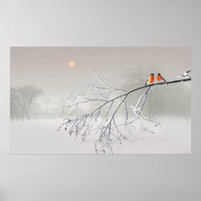 Pôster Whiteout (Frente)