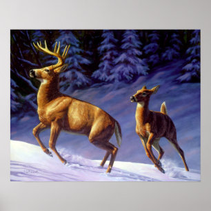 Poster Whitetail Deer Buck & Doe na Neve de inverno