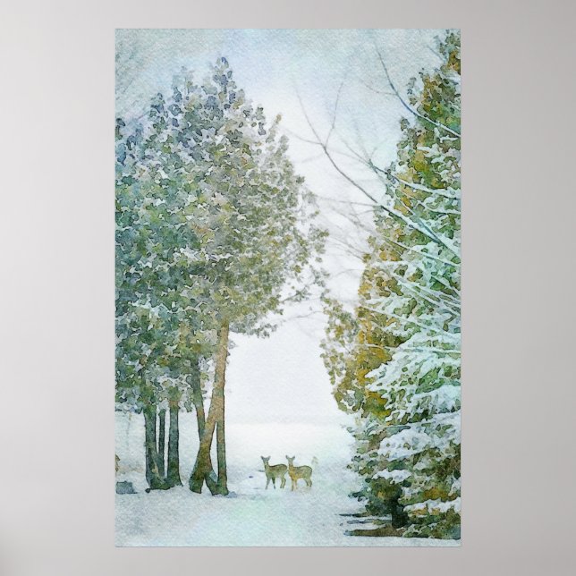 Poster Whitetail Deer em Winter Snow Willife Watercolor (Frente)