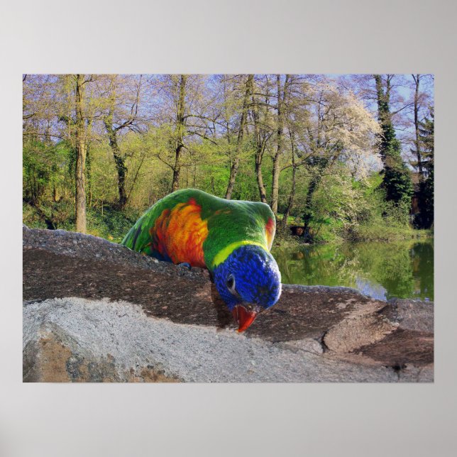 Poster Who are you? Cute Lori (Frente)