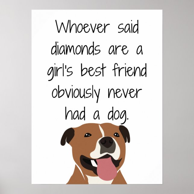 Poster Whoever Said Diamonds Are a Girls Best Friend (Frente)