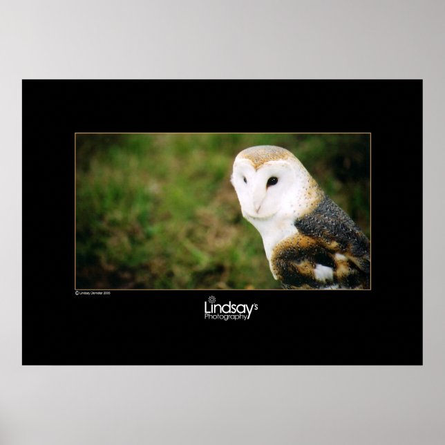 Pôster Whooie (Frente)