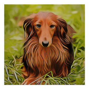 Pôster Wiener Brown Dachshund Na Grama No Jardim Xmas