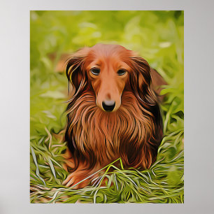 Poster Wiener Brown Dachshund On Grass In The Garden Xmas