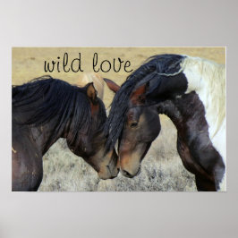 POSTER WILD AMES HORSES