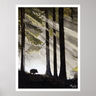 Poster Wild Boar