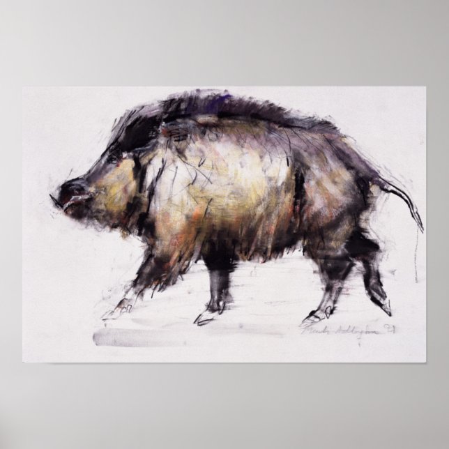 Pôster Wild Boar 1999 (Frente)