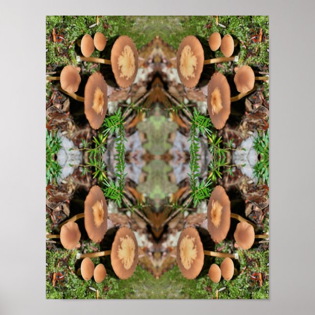 Poster Wild Brown Mushroom Cluster Abstrato (Frente)