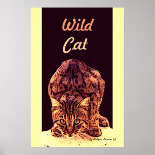 PÔSTER WILD CAT KITTEN