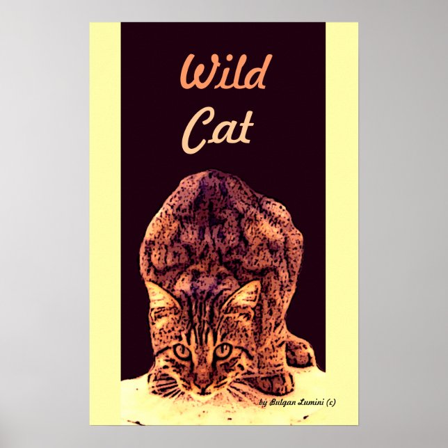 PÔSTER WILD CAT KITTEN (Frente)