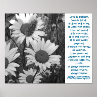 Poster Wild Daisies Love Capítulo