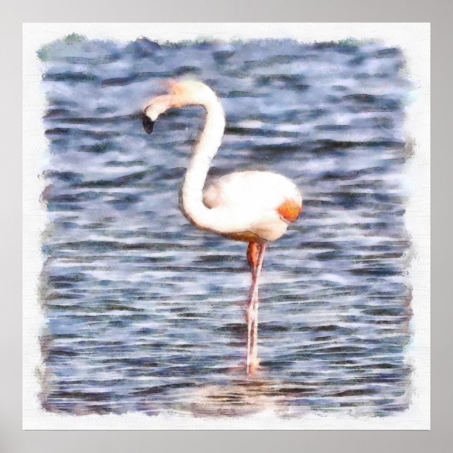Poster Wild Flamingo (Frente)