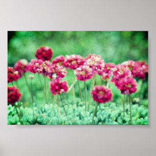 Poster Wild Flowers