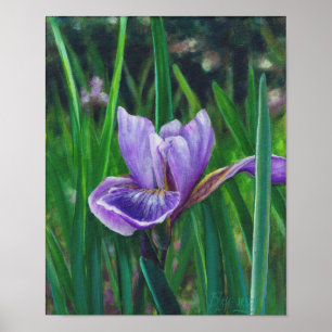 Pôster Wild Iris