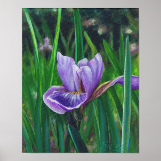 Pôster Wild Iris