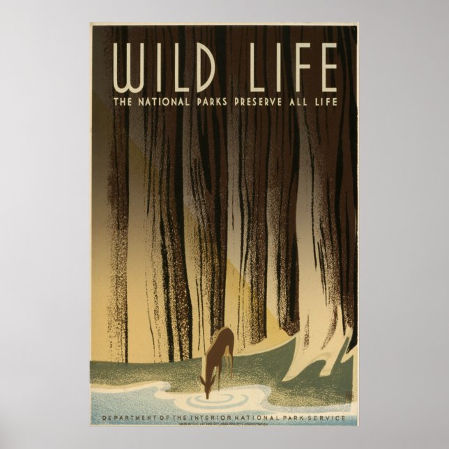 Poster Wild Life (Frente)