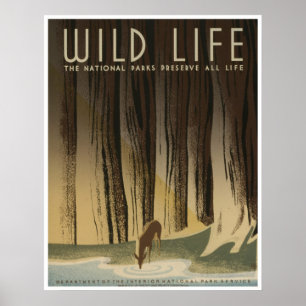 Poster Wild Life: Serviço Nacional de Parques