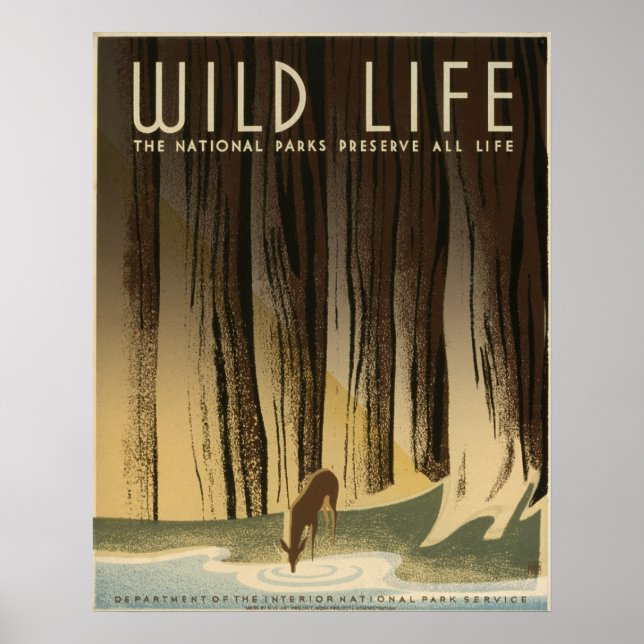 Poster Wild Life Vintage 1940 National Park Service (Frente)