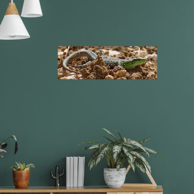 Poster Wild Lizard Nature Fotografia Rustic (Sala de Estar 1)