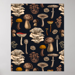 Poster Wild Mushrooms  on graphite black