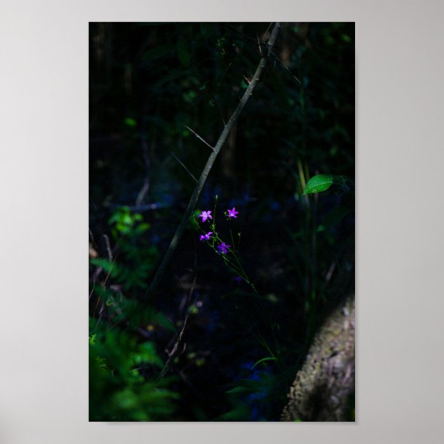 Poster Wild Purple Water Forest Flowers Fern  (Frente)