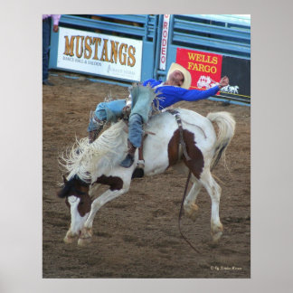 Pôster Wild Ride - Reno Rodeo 2010