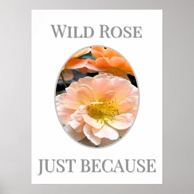 Poster Wild Rose Bloom                                    (Frente)