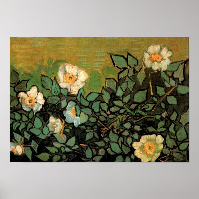 Poster Wild Roses (F597) Van Gogh Fine Art (Frente)