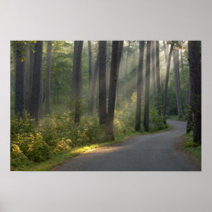 Pôster Wilderness Drive, Parque Estadual de Itasca,