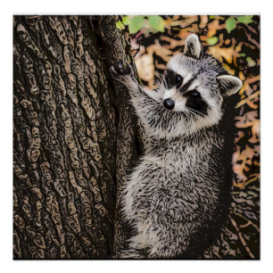 Pôster Wilderness Wilderness Raccoon
