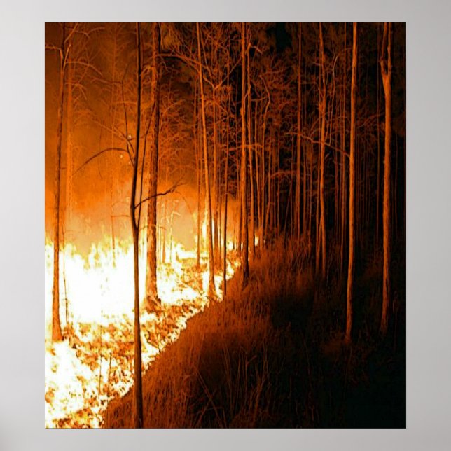 Poster Wildfire Blaze (Frente)