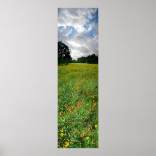 Pôster Wildflower Meadow - Butler Trail - Austin Texas