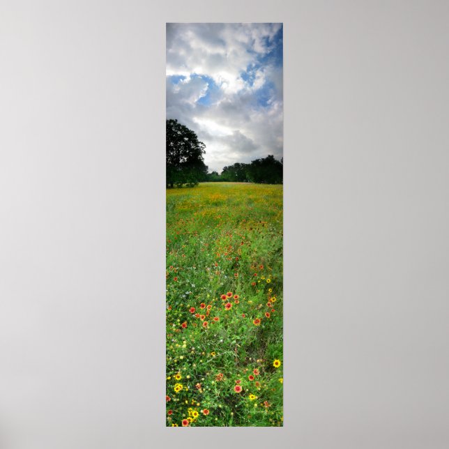 Pôster Wildflower Meadow - Butler Trail - Austin Texas (Frente)