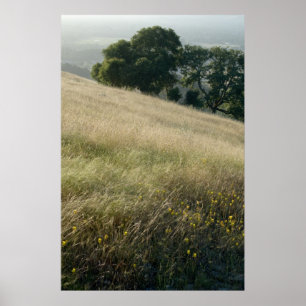 Poster Wildflowers