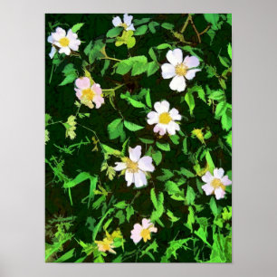 PÔSTER WILDFLOWERS