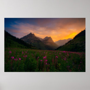 Poster Wildflowers da geleira