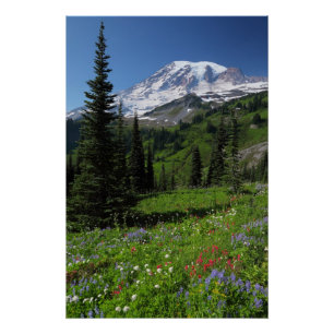 Pôster Wildflowers no Monte Rainier