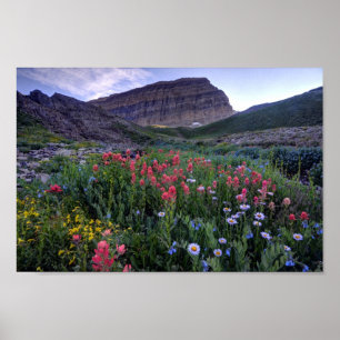 Poster Wildflowers no prado da montanha alta - Utá